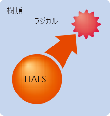 ラジカルを捕捉する「HALS」